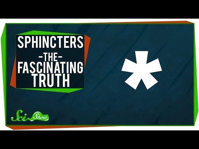 Sphincters - The Fascinating Truth