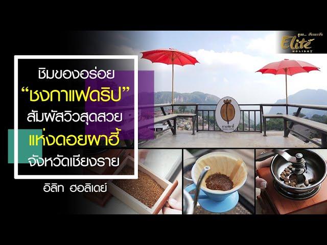 ชิมของอร่อย "ชงกาแฟดริป" สัมผัสวิวสุดสวย แห่งดอยผาฮี้ เชียงราย | อิลิท ฮอลิเดย์