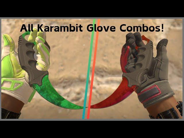 Knife Glove Combo For Every Karambit in CS2 | JawsCS