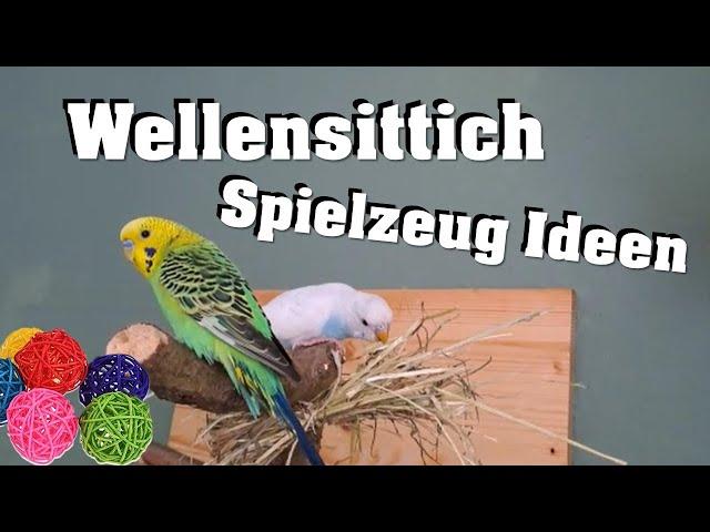 Ideen für SPIELZEUGE für deine WELLENSITTICHE!