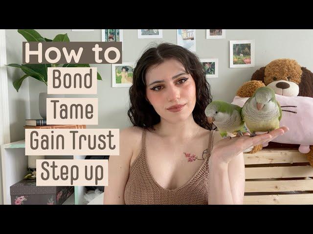 5 Step Guide To Tame And Gain Your Birds Trust