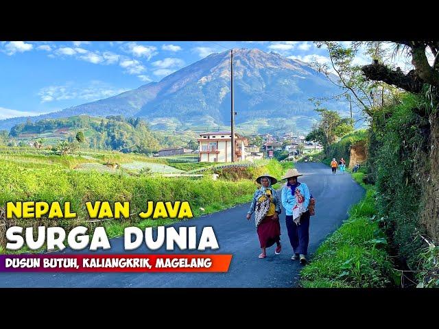 HEAVEN ON EARTH !! NATURAL VIEW OF NEPAL'S VAN JAVA VILLAGE ON MOUNT SUMBING - INDONESIA