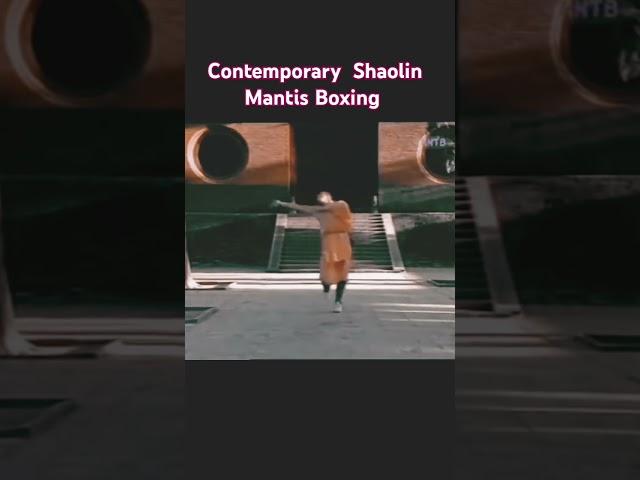 Contemporary Shaolin Mantis Boxing #kungfu #martialarts #shaolin #neuquen