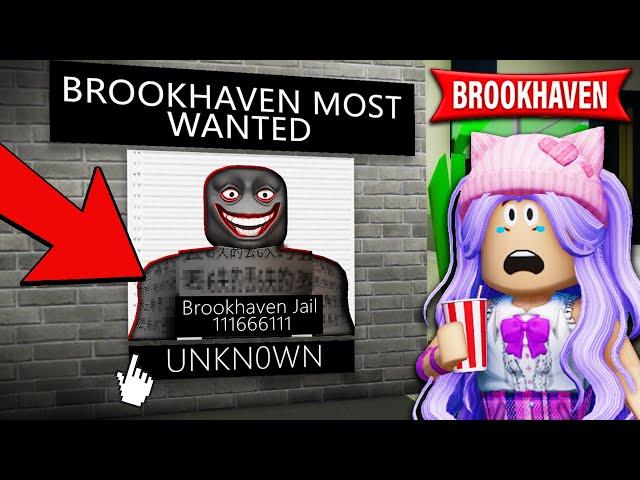 100 SECRETS in Roblox Brookhaven!