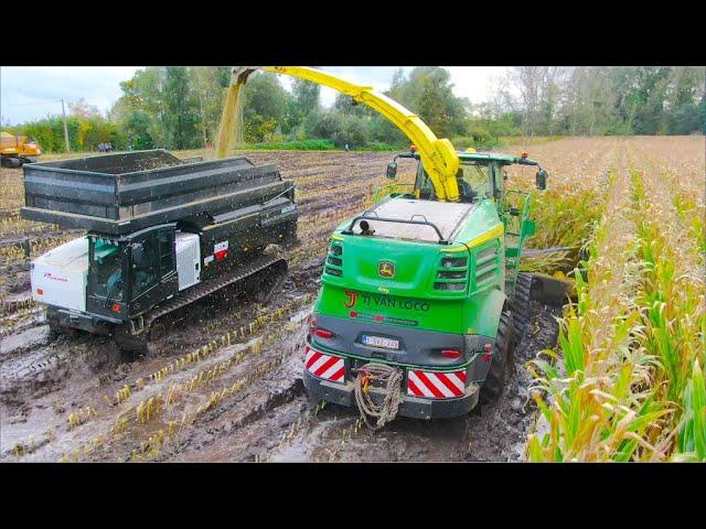 Maize harvest in the Mud | Modderen in mais | JD 8600i on Tracks & Prinoth Panther rotating dumpers