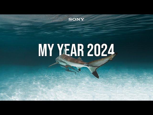 MY YEAR 2024: From Student to Filmmaker | Cinematic Travel Video