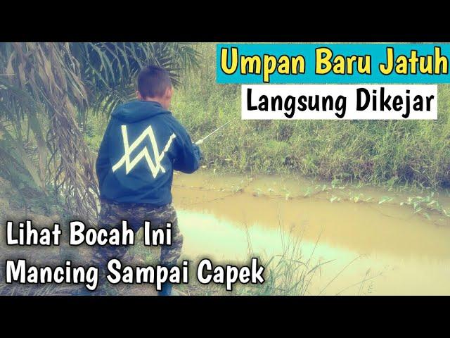 Lihat Bocah Ini Mancing, Sampai Capek Katanya