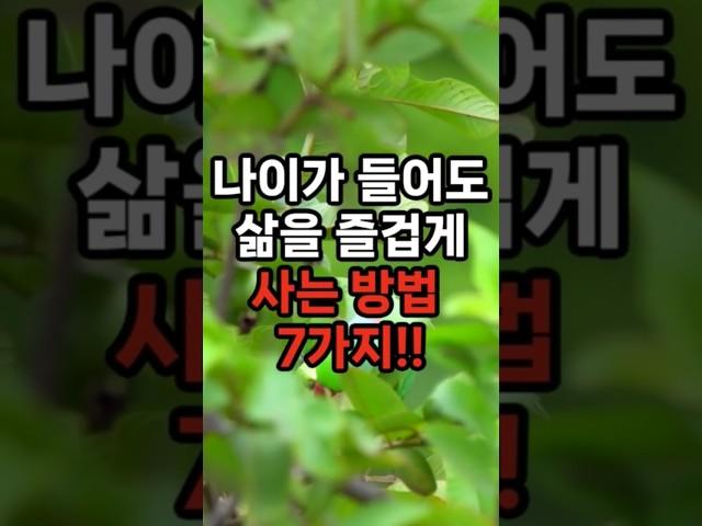 나이가 들어도 삶을 즐겁게 사는 방법 7가지!! #삶의지혜 #행복한노후 #100세시대