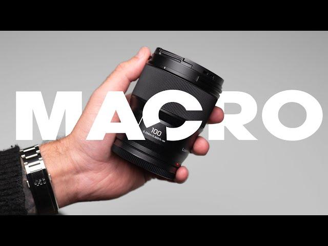 The NEW Lumix 100mm F2.8 Macro Lens is Incredible!