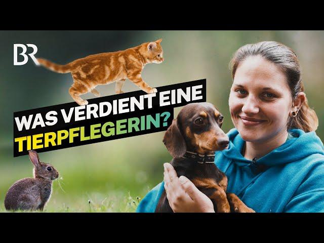 Bissige Hunde, verletzte Vögel: Das Gehalt als Tierpflegerin im Tierheim I Lohnt sich das I BR