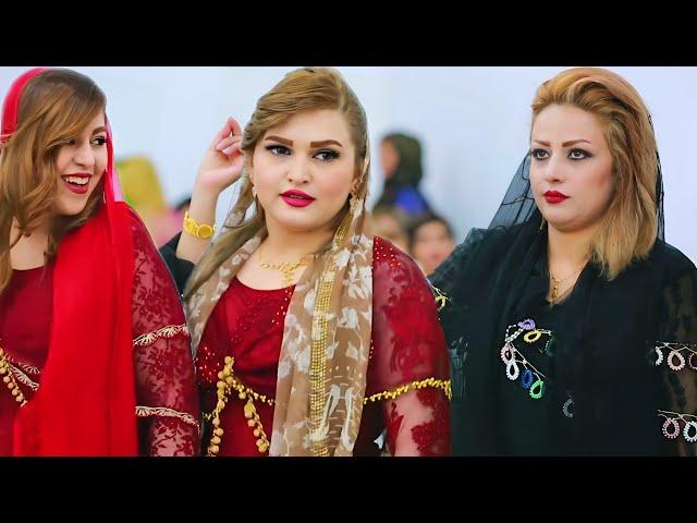 Best Kurdish wedding dance 2024