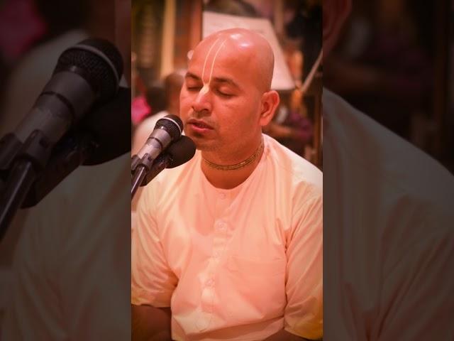 Purna Chandra Das | Gupt Vrindavan Mellows | S 2