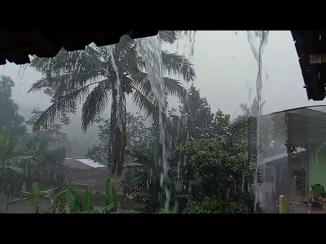 Very Heavy Rain & Thunder in My Village - Rain Sounds for Sleeping | Asmr - Indorain