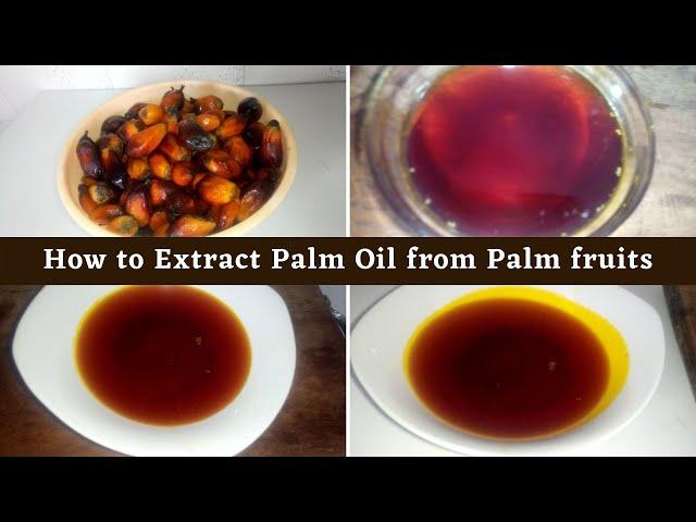 How to Make Palm oil at Home