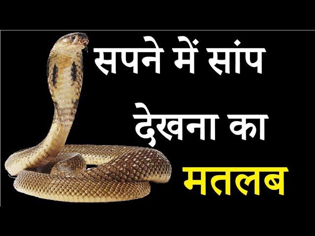 सपने में सांप को देखना उसका मतलब?#short#muftitariqmasood #islam