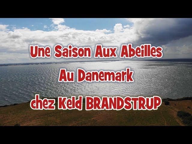 Une Saison Aux Abeilles au Danemark - Visite chez Keld Brandstrup - Part 1