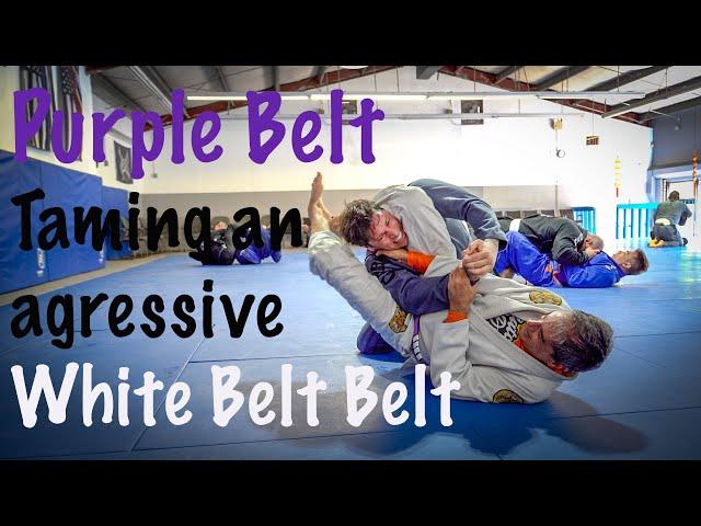 51 year old purple belt vs aggressive young white belt