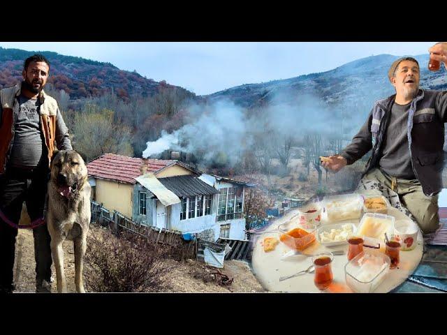 ANADOLU AYISI BOĞAÇ / BÖYLE KAHVALTI MI OLUR YAVV / KOYUNLAR ZİRVE DAĞDAN İNDİ / DAĞ YEMEKLERİ