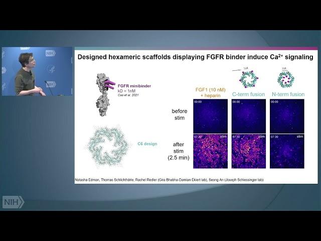 The Coming of Age of De Novo Protein Design