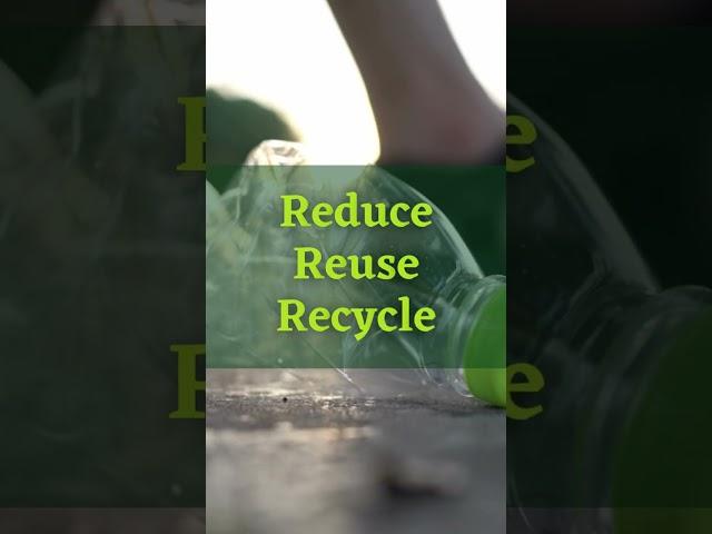 Join the Fight Against Pollution with Ocean Ridge Recycling ️#shorts