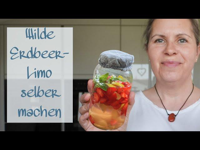 Wilde Erdbeerlimonade selber machen | TAGAUS TAGEIN |