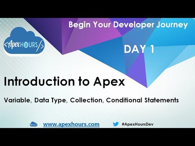 Introduction To Apex | DataType | Collection | Conditional Statements | Day 1