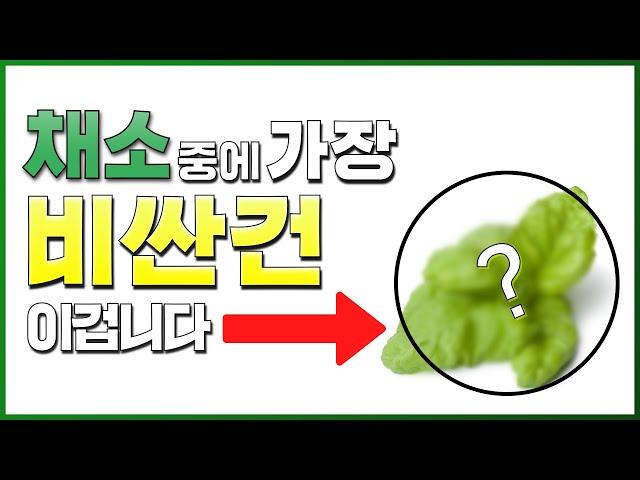 채소중에 가장 비싼 채소는 뭘까요? 얼마에 판매되는지 놀라지 마세요~(feat. 허브 박사님)