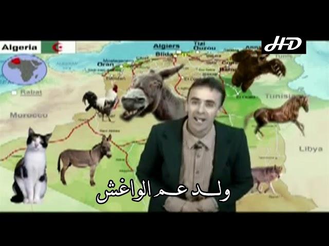 ولد عم الواغش ولاد رياح الحيوانات في البلاد