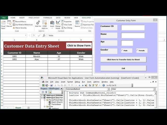 Advanced Userform in Excel - VBA Tutorial by Exceldestination