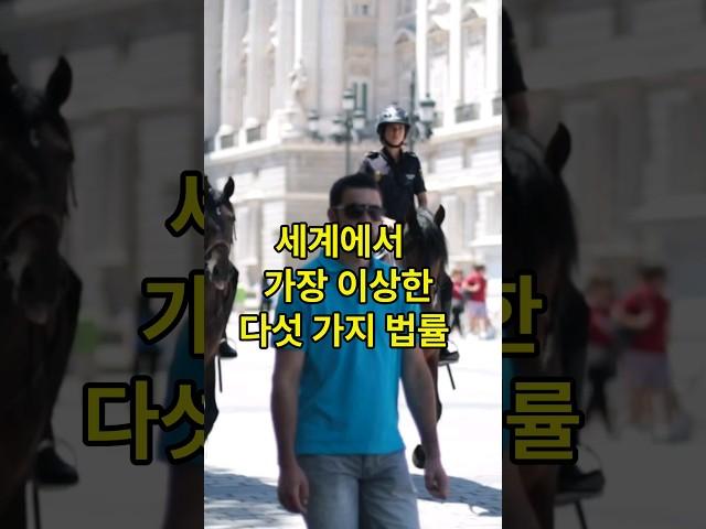 이제는 상식이 되어가는 세계에서 가장 이상한 법률 TOP 5.