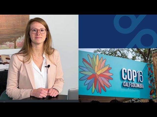 COP16: what progress has been made?