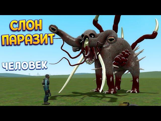 ПАРАЗИТЫ И МУТАЦИИ ЖИВОТНЫХ