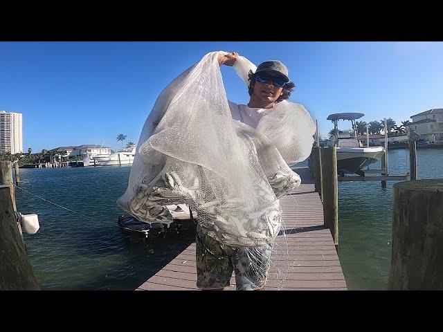 How to Cast Net and Store Thousands of Bait Fish (Cast Netting Bait)