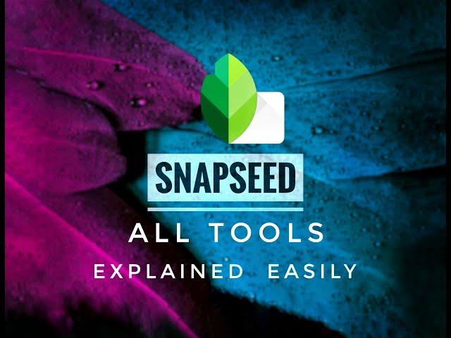 SNAPSEED Complete Tutorial  - All Tools Explained in English | Android | iPhone