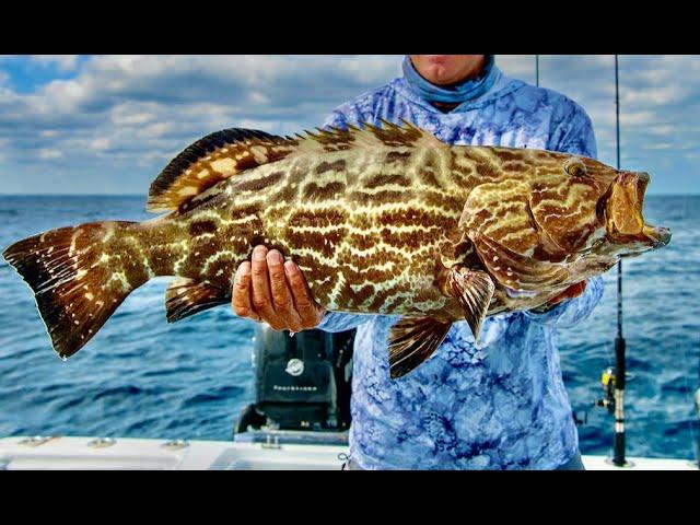 HAND FEEDING RED GROUPER and SPEARFISHING | *FLORIDA KEYS* | Saltwater Experience | On the REEF!!