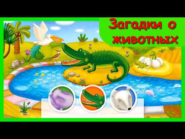 ЗАГАДКИ О ЖИВОТНЫХ  Детские загадки/ Загадки Про Животных в Зоопарке