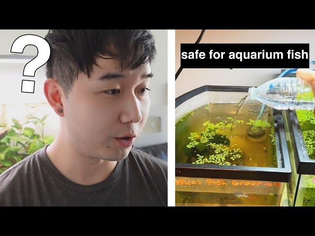 let's BUST these aquarium myths | Fish Tank Review 251