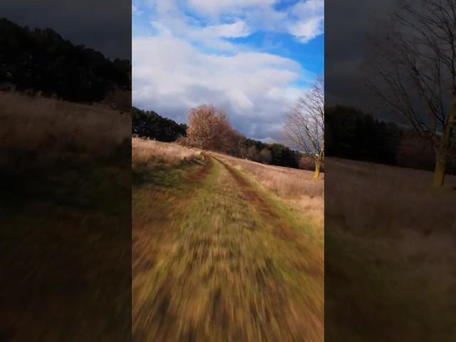 flying fast #explore #fpv #nature #drone