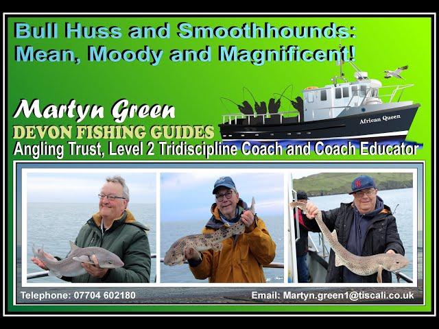 Bull Huss and Smoothhounds: Mean, Moody and Magnificent