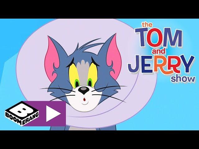 Tom und Jerry | Katzenkegel | Cartoonito