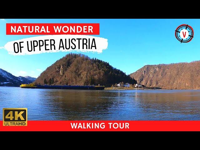 Danube River ️ Schlögener Schlinge Austria Virtual Walking Tour [4K Video]