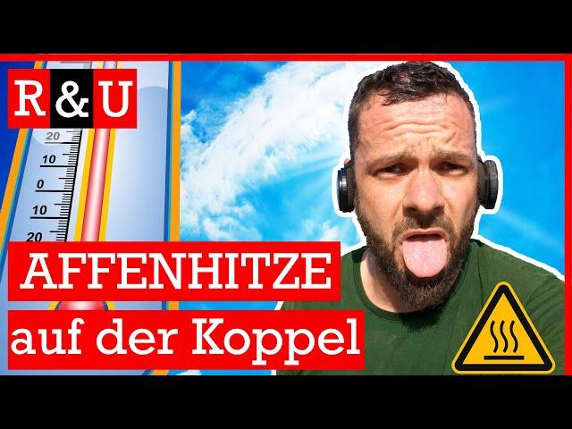 Sondeln bei AFFENHITZE - R&U #52 - sondeln mit Lechsonde - metaldetecting