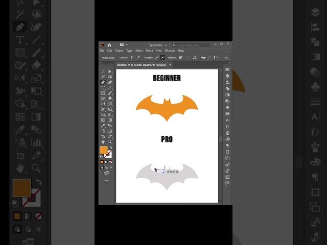 Difference between beginner and pro graphic designer #adobeillustrator #graphicdesign