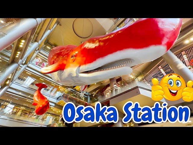 Exploring Osaka Station And Umeda Area, Interesting Place to Visit In Osaka Japan