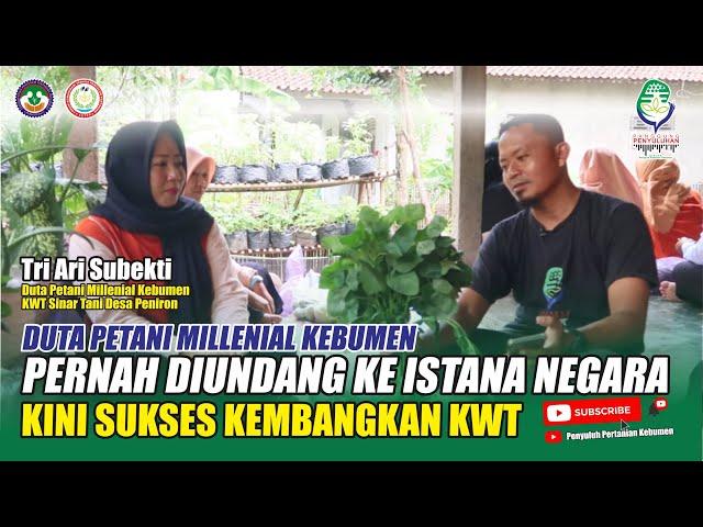 DUTA PETANI MILLENIAL Kebumen Diundang ke ISTANA NEGARA, Sekarang Kembangkan KWT // Tri Ari Subekti