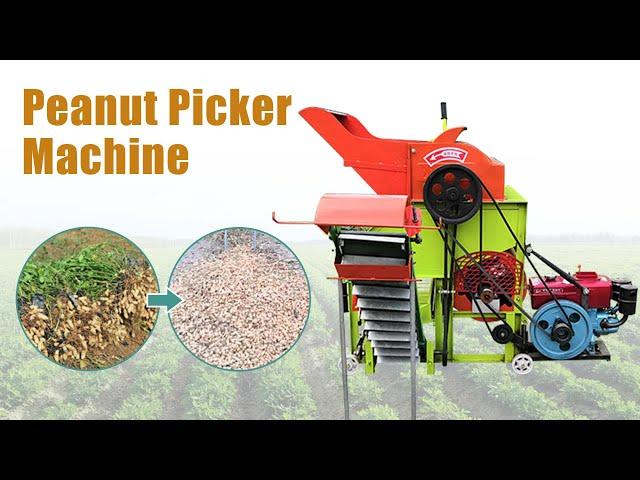 Hot Selling Peanut Groundnut Picker Machine - Peanut Picking Machine for Sale from Taizy 2023