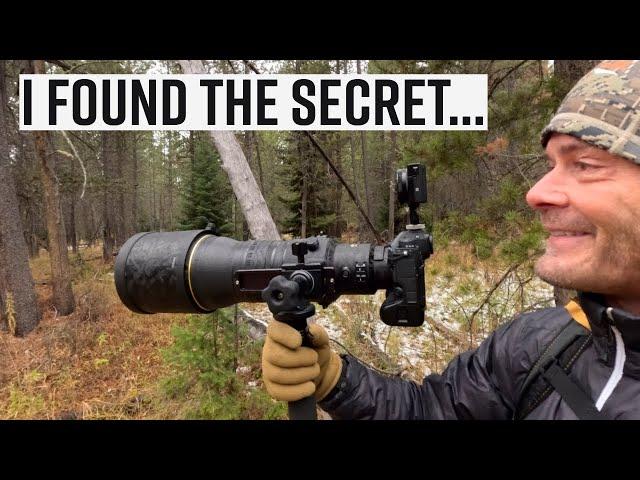 I finally found the secret to making owl photography vlogs! Sort of... A wildlife photo vlog in Wyo.