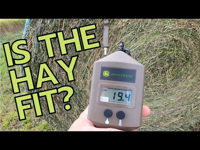 Fit Check.... Is the Alfalfa ready to be baled???? Watch how Clint figures out if it's go time!