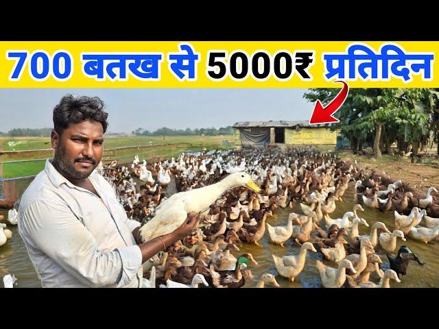 1 एकड़ से भी कम जमीन से 5000₹ रोजाना | Duck farming in india