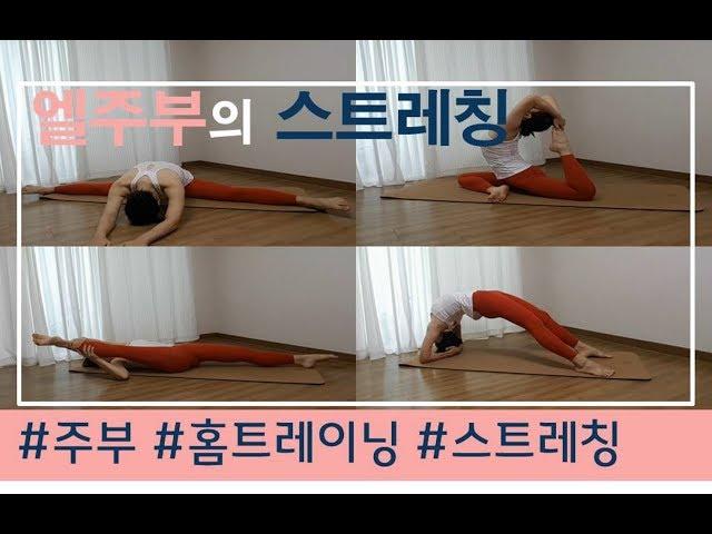 [운동] 매일매일 스트레칭 | Daily stretching